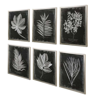 Uttermost - Foliage Framed Prints, Set of 6 - 33671 veiw 3