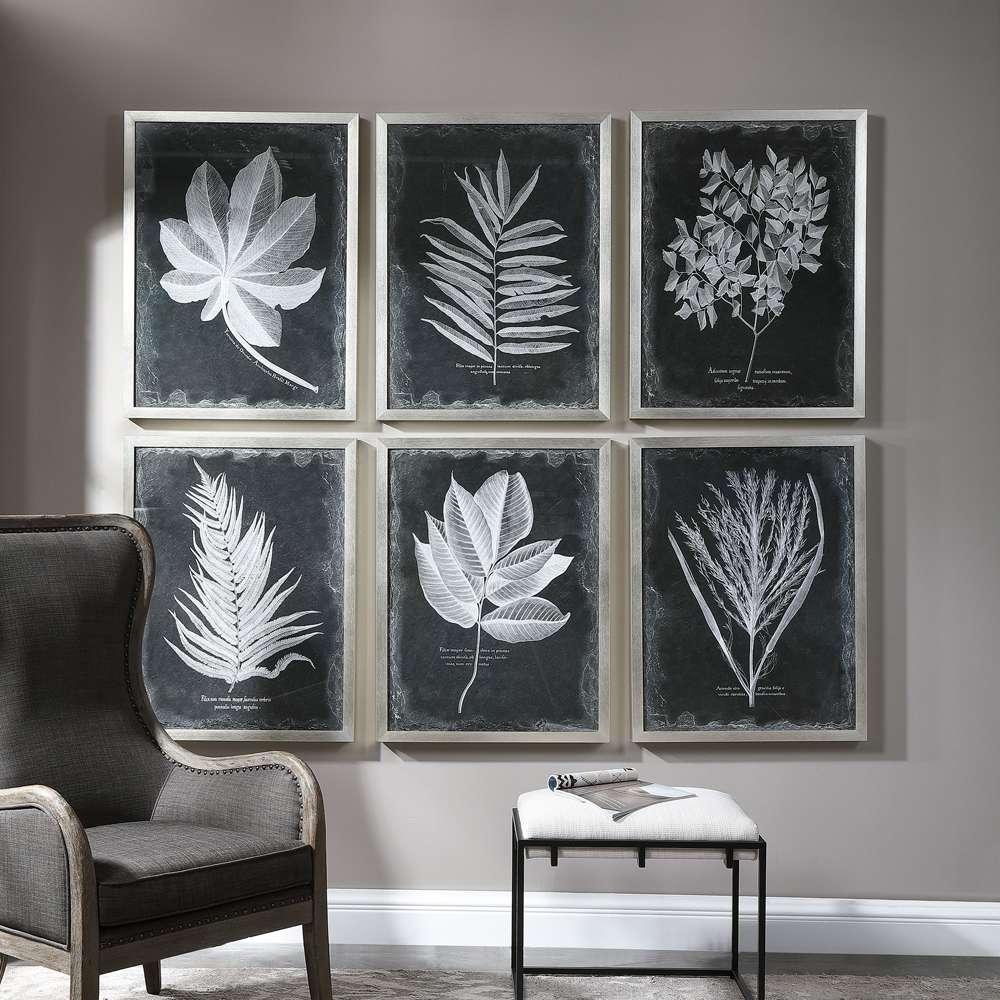 Uttermost - Foliage Framed Prints, Set of 6 - 33671 veiw 4