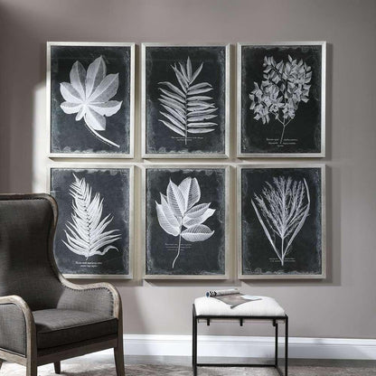 Uttermost - Foliage Framed Prints, Set of 6 - 33671 veiw 4