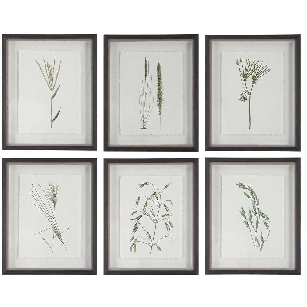 Uttermost - Forest Finds Framed Prints, Set of 6 - 41459 veiw 1
