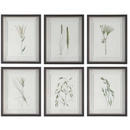 Uttermost - Forest Finds Framed Prints, Set of 6 - 41459 veiw 1