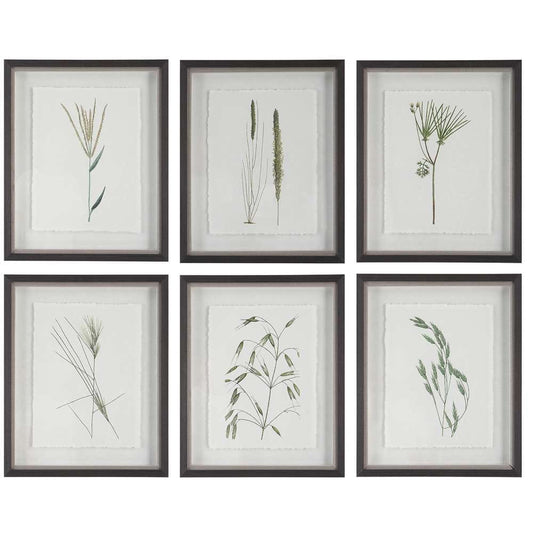 Uttermost - Forest Finds Framed Prints, Set of 6 - 41459 veiw 1