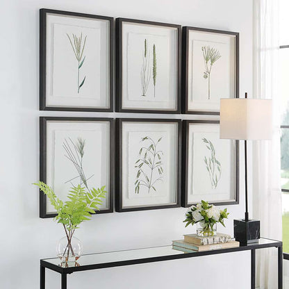 Uttermost - Forest Finds Framed Prints, Set of 6 - 41459 veiw 2