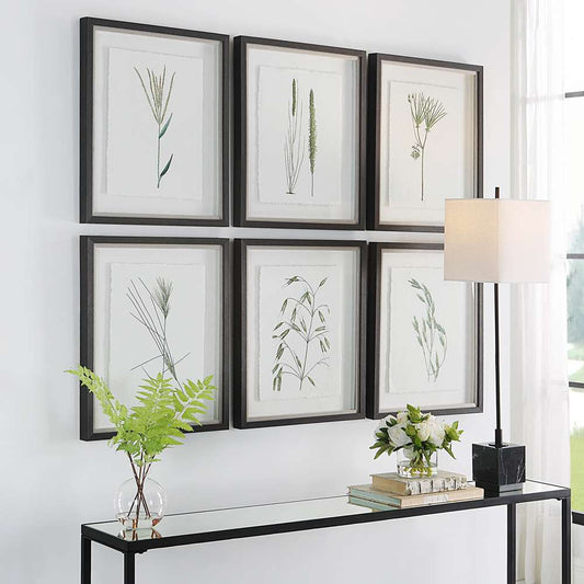 Uttermost - Forest Finds Framed Prints, Set of 6 - 41459 veiw 2