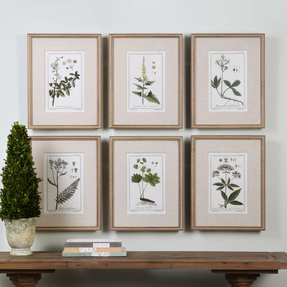 Uttermost - Green Floral Botanical Study Prints Set of 6 - 33651 veiw 2