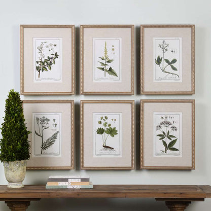 Uttermost - Green Floral Botanical Study Prints Set of 6 - 33651 veiw 2