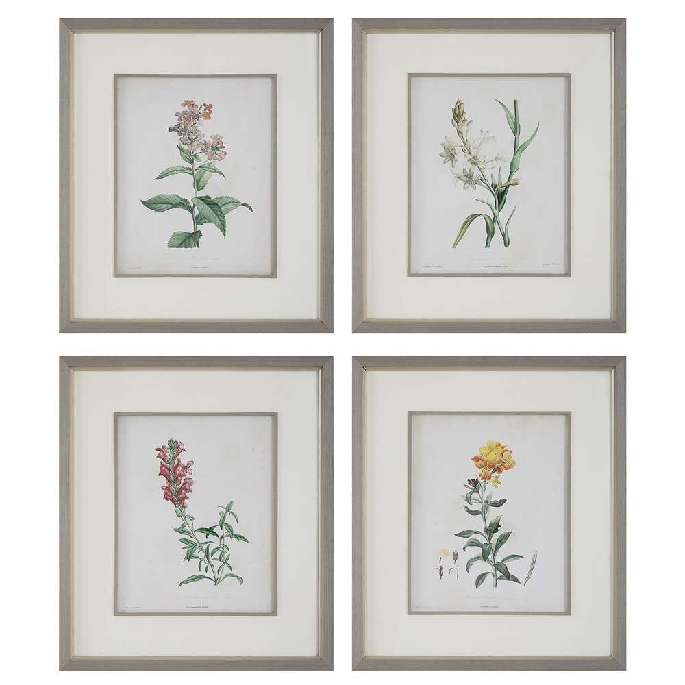 Uttermost - Heirloom Blooms Study Framed Prints Set/4 - 32285 veiw 1
