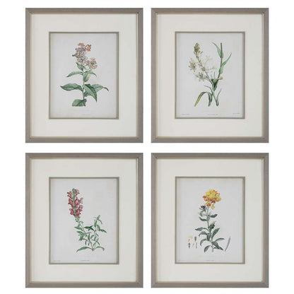 Uttermost - Heirloom Blooms Study Framed Prints Set/4 - 32285 veiw 1