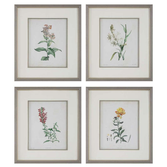 Uttermost - Heirloom Blooms Study Framed Prints Set/4 - 32285 veiw 1