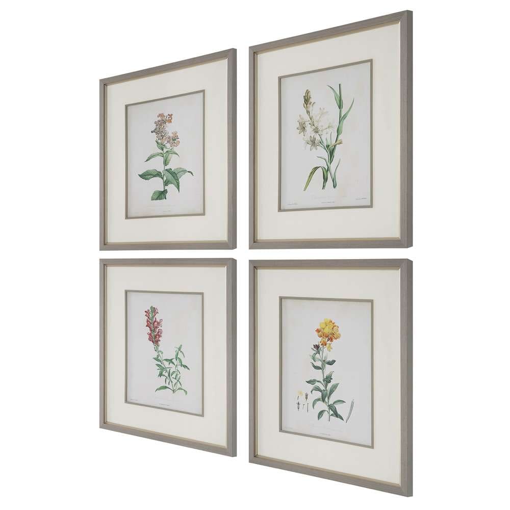 Uttermost - Heirloom Blooms Study Framed Prints Set/4 - 32285 veiw 3