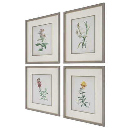 Uttermost - Heirloom Blooms Study Framed Prints Set/4 - 32285 veiw 3