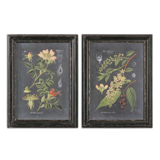 Uttermost - Midnight Botanicals Wall Art (Set of 2) - 56053 veiw 1