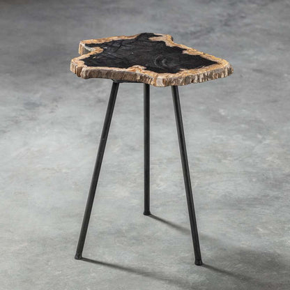 Uttermost - Mircea Petrified Wood Accent Table - 25461 veiw 2
