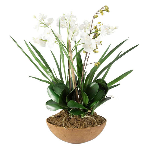Uttermost - Moth Orchid Planter - 60039 veiw 1