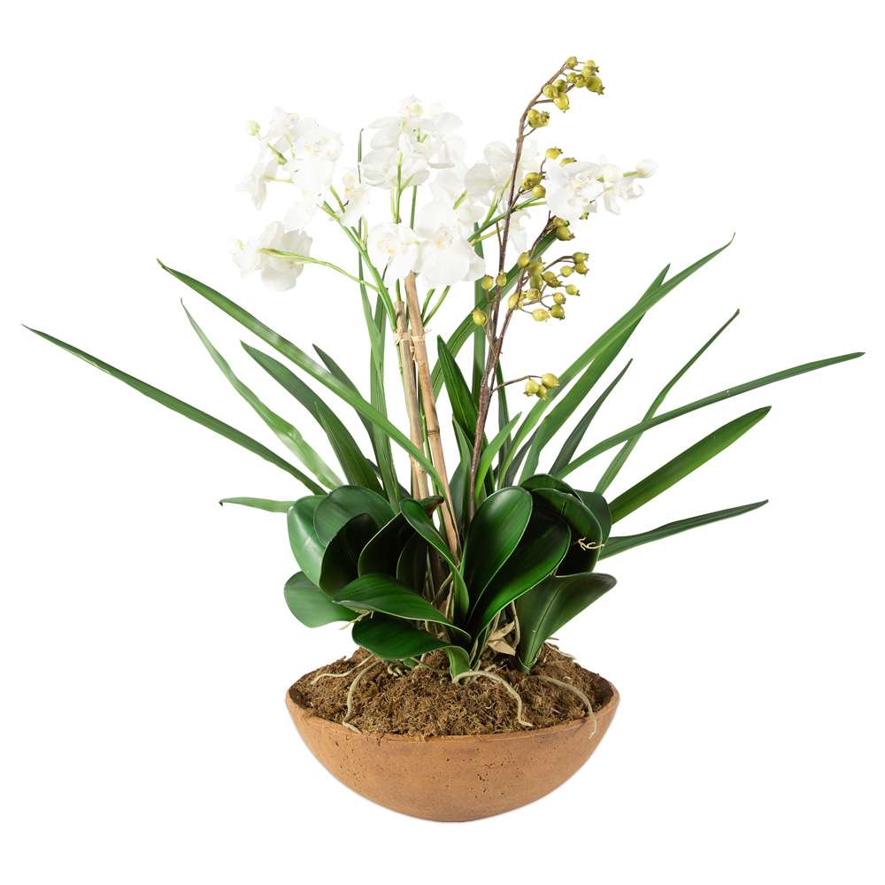 Uttermost - Moth Orchid Planter - 60039 veiw 3