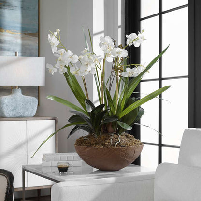 Uttermost - Moth Orchid Planter - 60039 veiw 4
