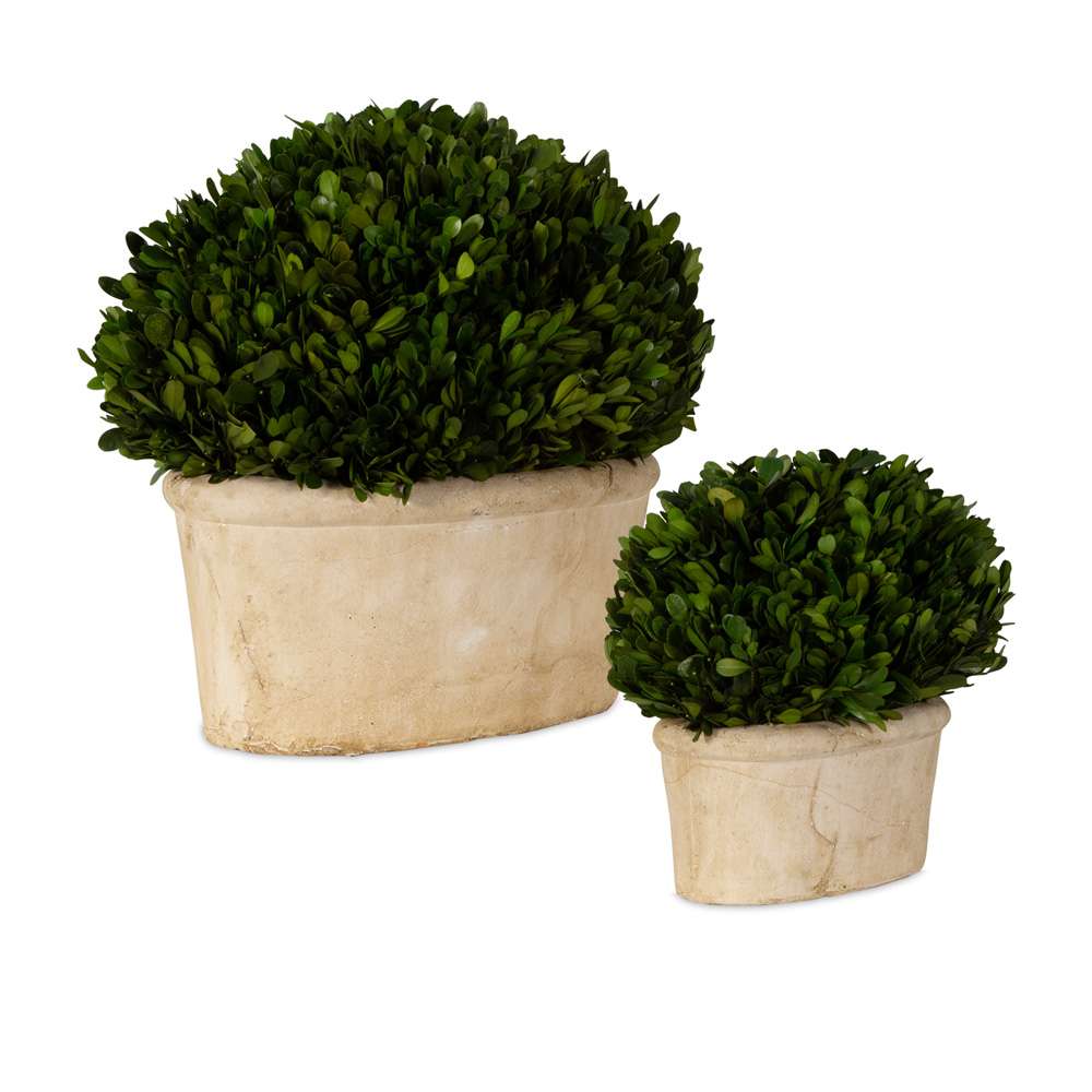 Uttermost - Oval Domes Preserved Boxwood Set/2 - 60107 veiw 2