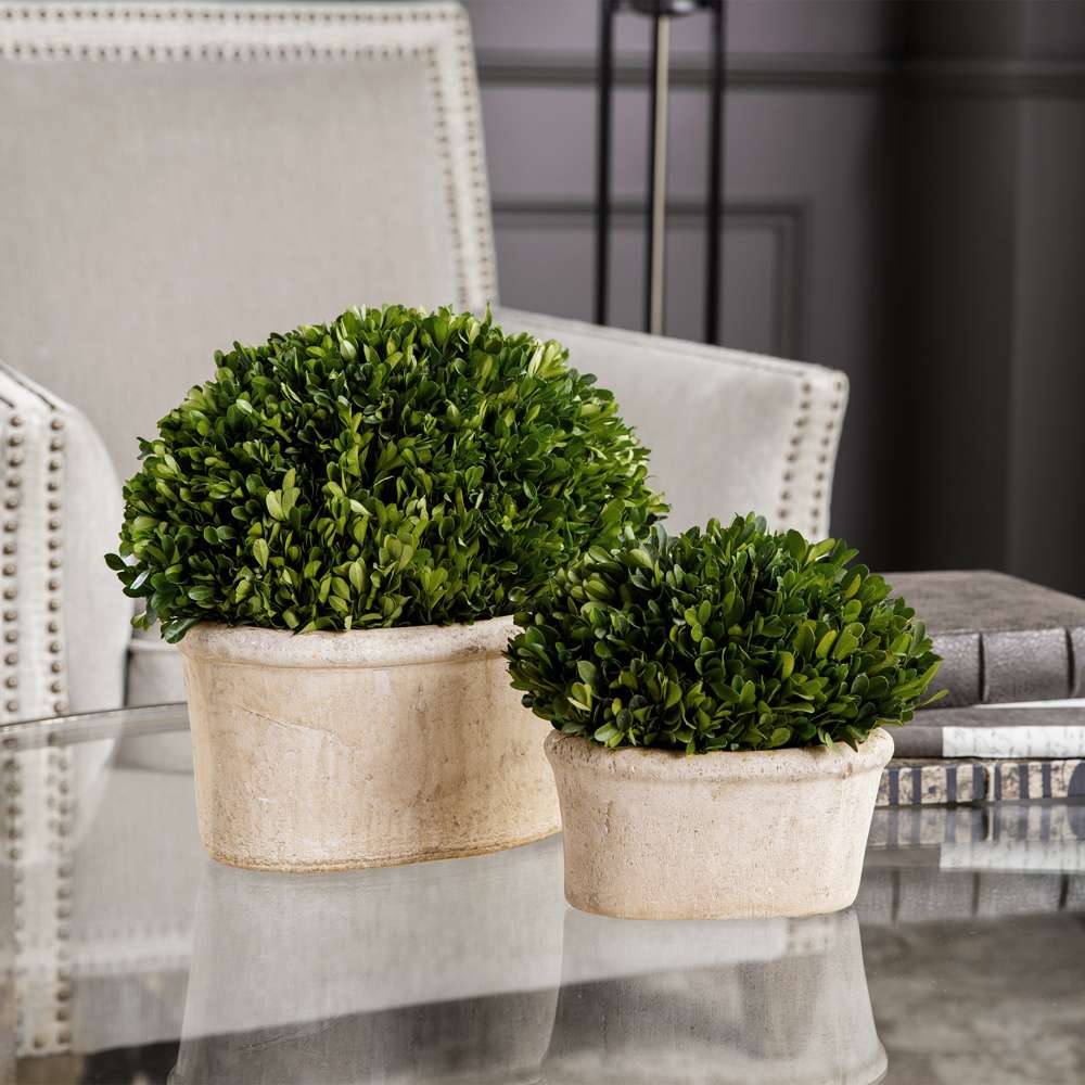 Uttermost - Oval Domes Preserved Boxwood Set/2 - 60107 veiw 4