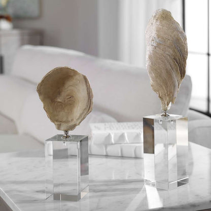 Uttermost - Oyster Shell Sculptures (Set of 2) - 17523 veiw 4