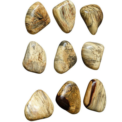 Uttermost - Pebbles Blonde Wood Wall Decor, Set of 9 - 04324 view 1