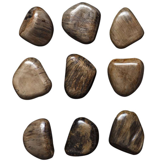 Uttermost - Pebbles Walnut Wood Wall Decor, Set of 9 - 04323 veiw 1