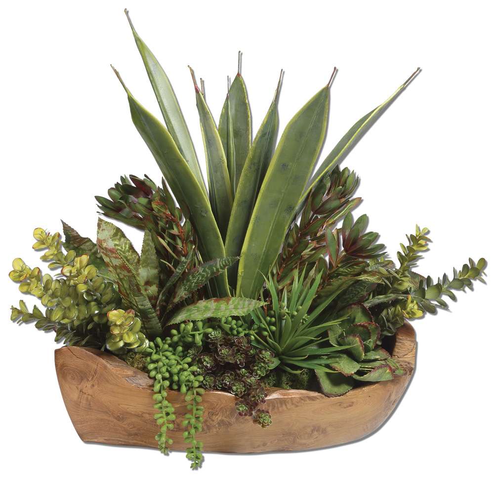 Uttermost - Salar Succulents In Teak Bowl - 60119 veiw 1