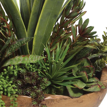 Uttermost - Salar Succulents In Teak Bowl - 60119 veiw 2