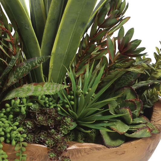 Uttermost - Salar Succulents In Teak Bowl - 60119 veiw 2