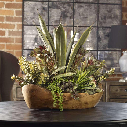 Uttermost - Salar Succulents In Teak Bowl - 60119 veiw 3
