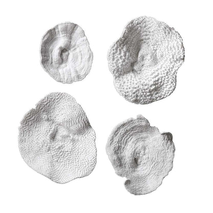 Uttermost - Sea Coral Wall Art (Set of 4) - 20170 veiw 1