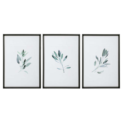 Uttermost - Simple Sage Watercolor Prints (Set of 3) - 33723 veiw 1