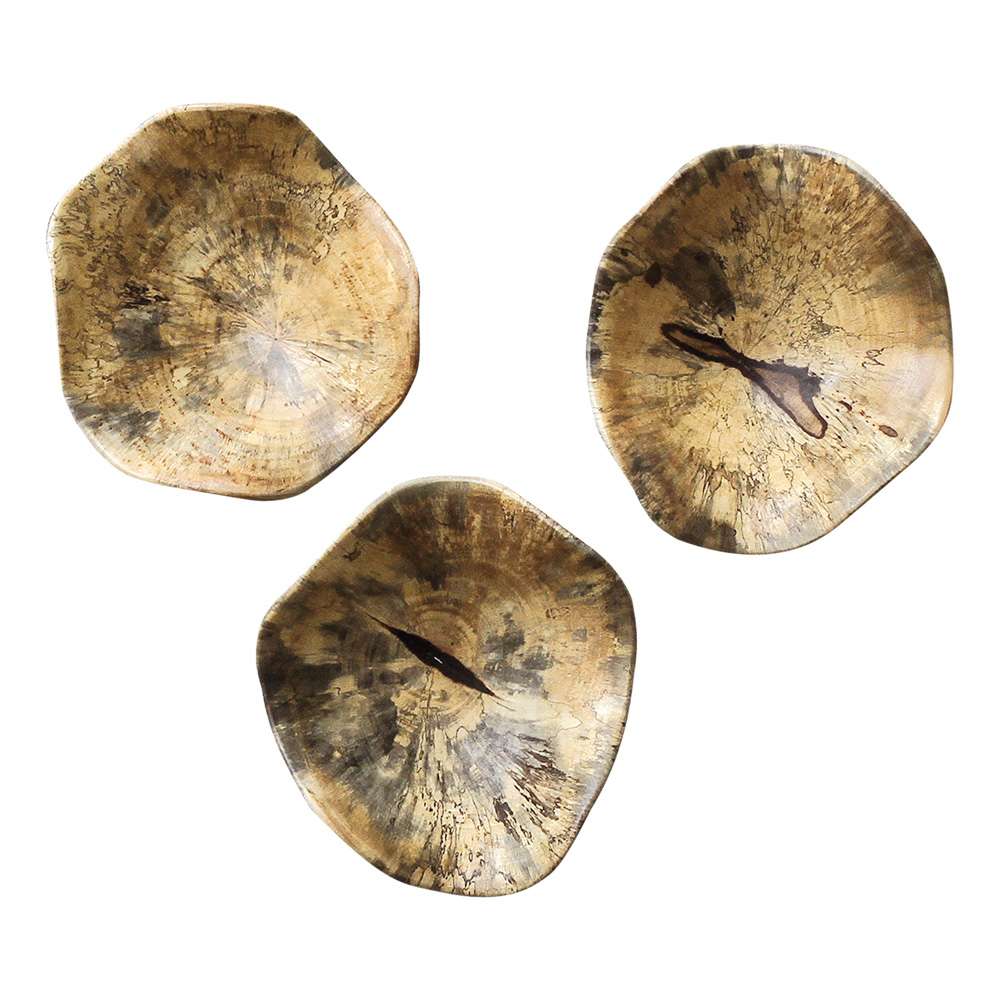 Uttermost - Tamarine Wood Wall Art (Set of 3) - 04107 veiw 1