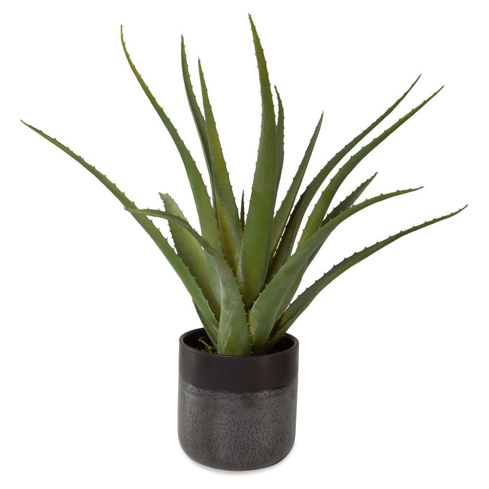 Uttermost - Tucson Aloe Planter - 60204 veiw 1