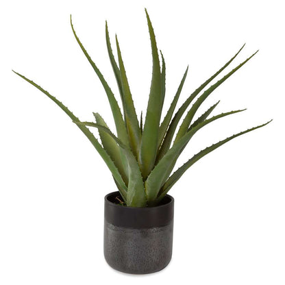 Uttermost - Tucson Aloe Planter - 60204 veiw 1