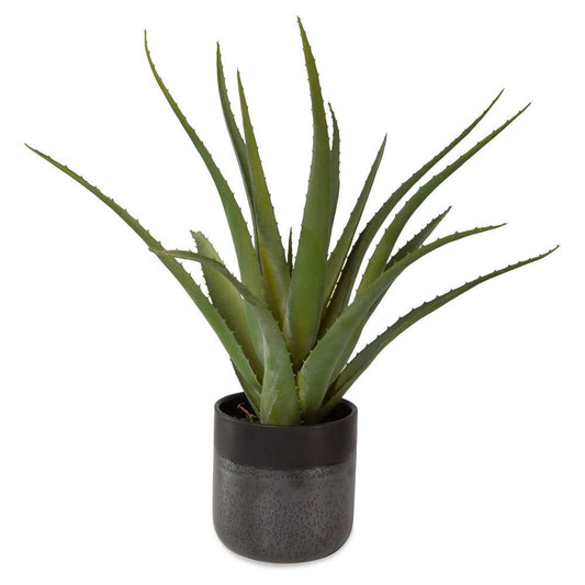 Uttermost - Tucson Aloe Planter - 60204 veiw 1