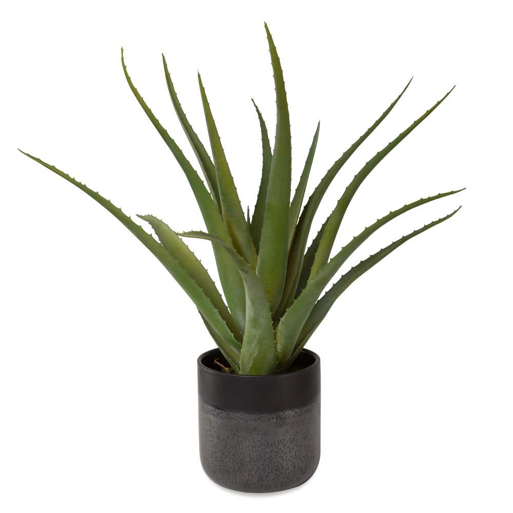Uttermost - Tucson Aloe Planter - 60204 veiw 2