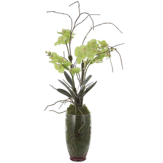 Uttermost - Valdive Orchid - 60199 veiw 1