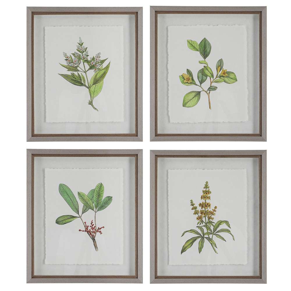 Uttermost - Wildflower Study Framed Prints (Set of 4) - 41461 veiw 1