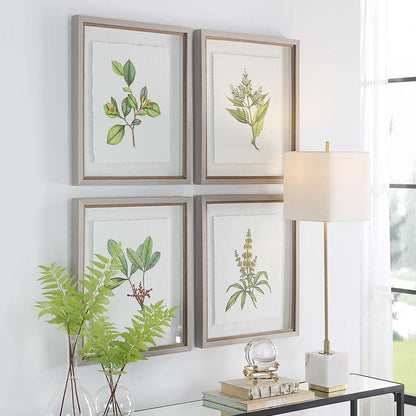 Uttermost - Wildflower Study Framed Prints (Set of 4) - 41461 veiw 2