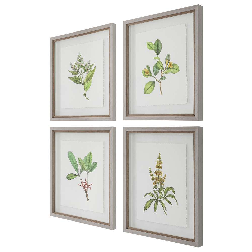 Uttermost - Wildflower Study Framed Prints (Set of 4) - 41461 veiw 3
