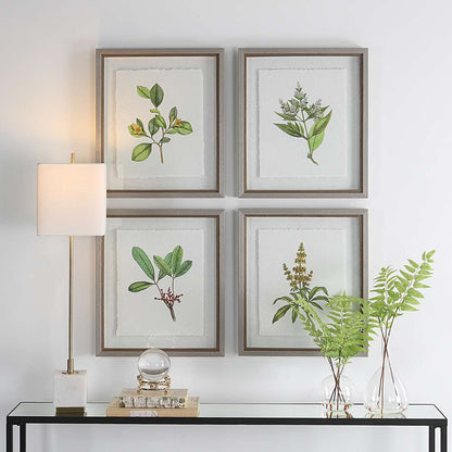Uttermost - Wildflower Study Framed Prints (Set of 4) - 41461 veiw 4