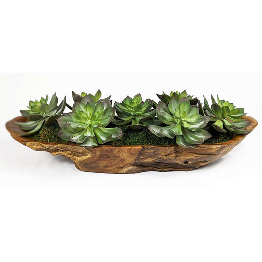 Uttermost - Yuma Succulent Centerpiece - 60205 veiw 1