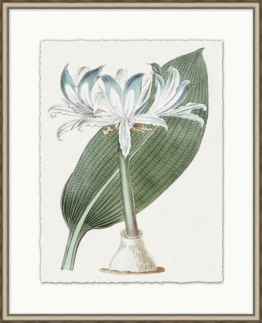 Wendover Art Group - Achromatic Fleur 3, Silver Leaf - WFL1229 veiw 1