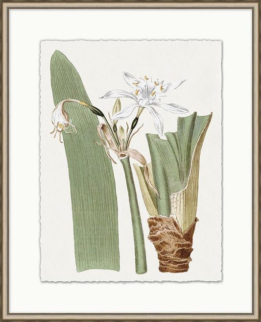 Wendover Art Group - Achromatic Fleur 4, Silver Leaf - WFL1230 veiw 1