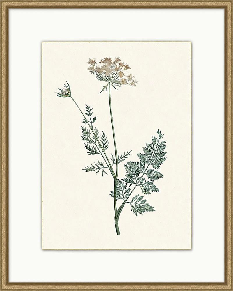 Wendover Art Group - Delicate Blooms 4, Wood - WFL1942 veiw 1