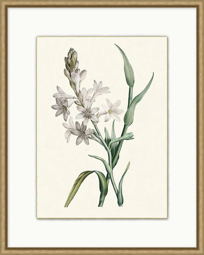 Wendover Art Group - Delicate Blooms 7, Wood - WFL1945 veiw 1