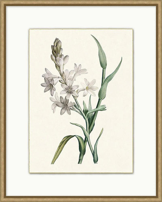 Wendover Art Group - Delicate Blooms 7, Wood - WFL1945 veiw 1