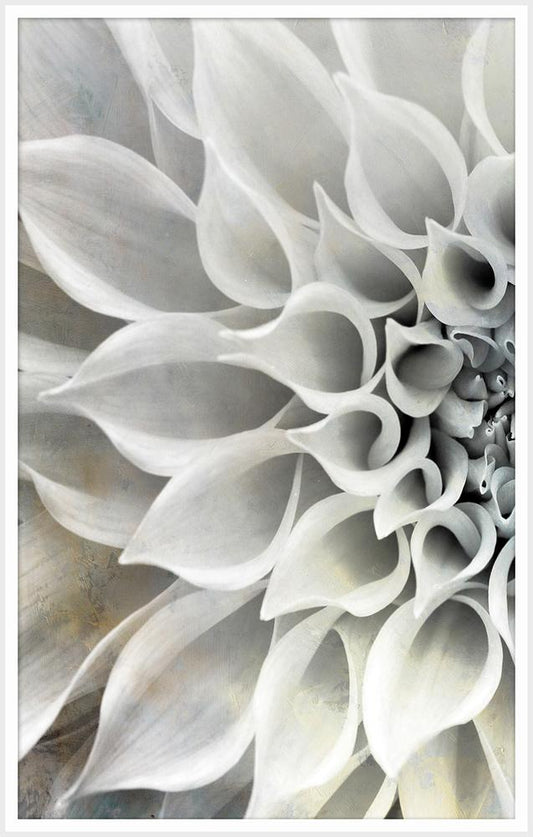 Wendover Art Group - Delicate Petals A, Matte White - WPH1632 veiw 1