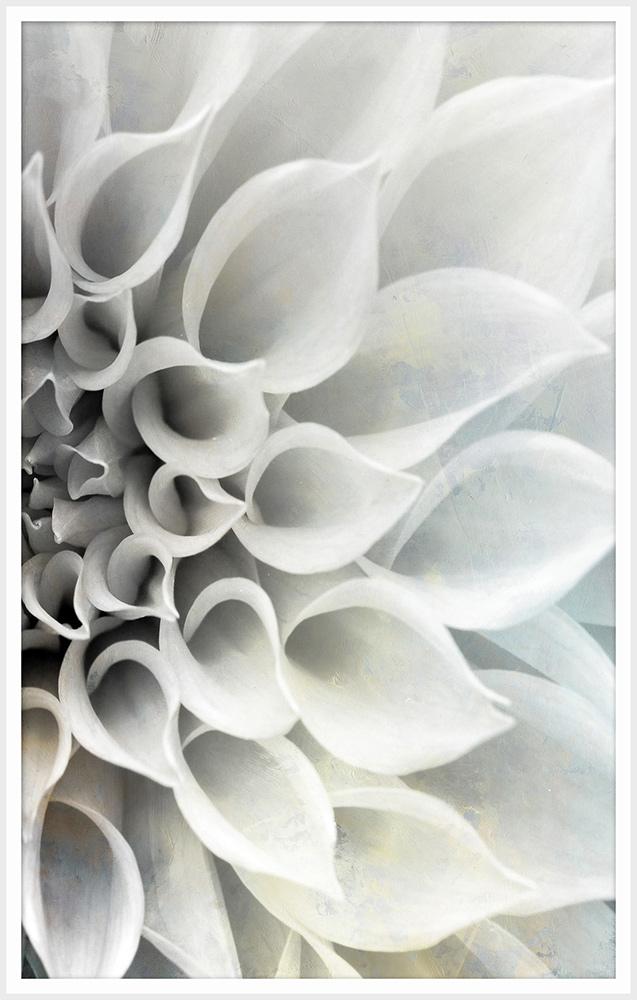 Wendover Art Group - Delicate Petals B, Matte White - WPH1633 veiw 1