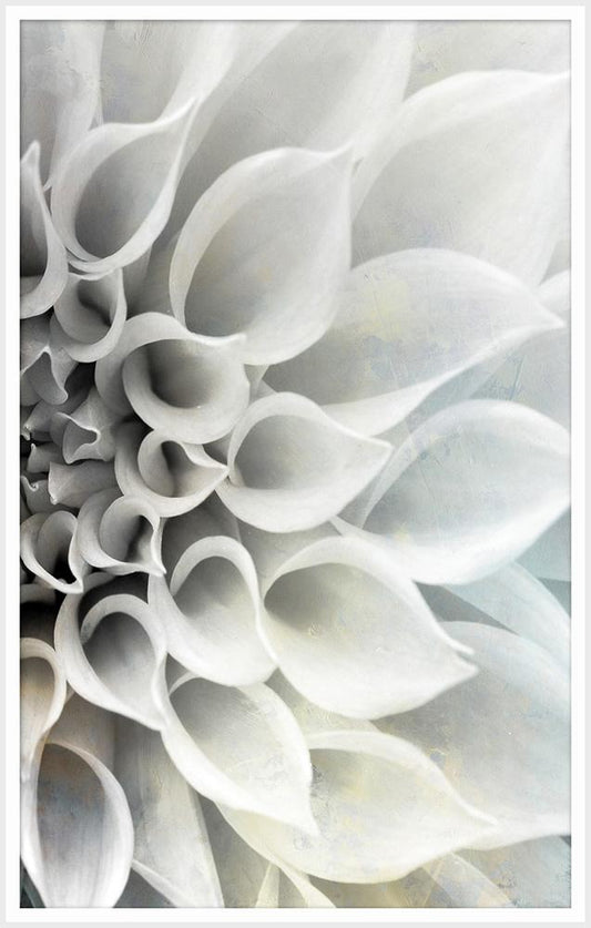 Wendover Art Group - Delicate Petals B, Matte White - WPH1633 veiw 1